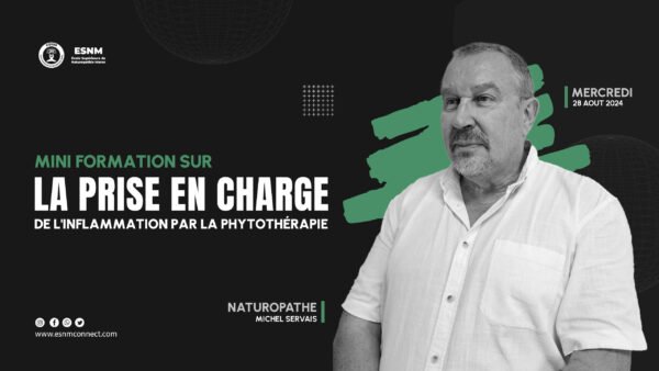 La prise en charge de l'inflammation par la phytothérapie