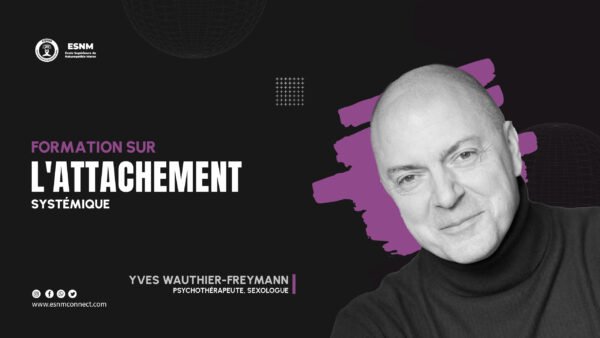 l'Attachement Systémique